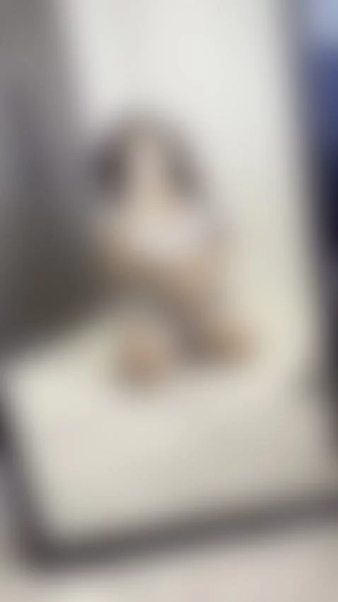 👇🏼CLICK HERE to chat to me :) by doubleddelilah