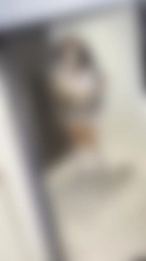 👇🏼CLICK HERE to chat to me :) by doubleddelilah