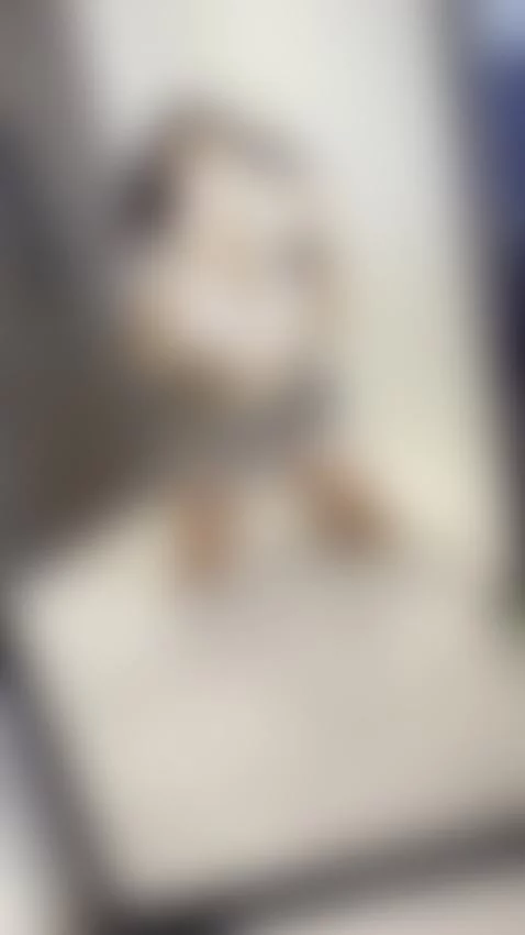 👇🏼CLICK HERE to chat to me :) by doubleddelilah