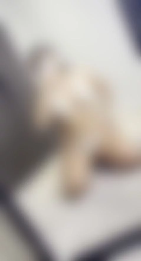 👇🏼CLICK HERE to chat to me :) by doubleddelilah