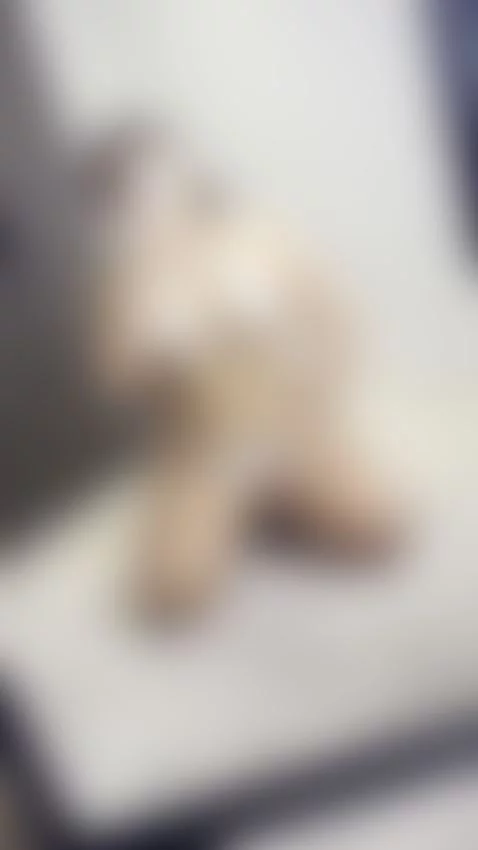 👇🏼CLICK HERE to chat to me :) by doubleddelilah