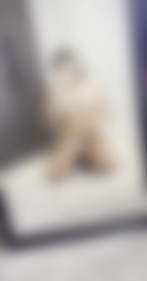 👇🏼CLICK HERE to chat to me :) by doubleddelilah