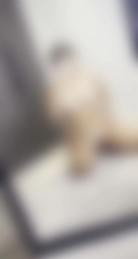 👇🏼CLICK HERE to chat to me :) by doubleddelilah