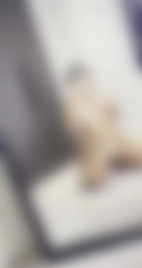 👇🏼CLICK HERE to chat to me :) by doubleddelilah