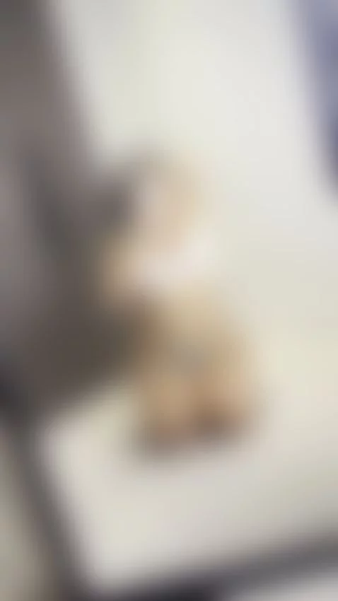 👇🏼CLICK HERE to chat to me :) by doubleddelilah