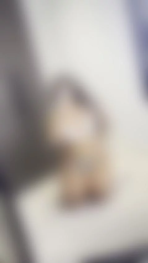 👇🏼CLICK HERE to chat to me :) by doubleddelilah