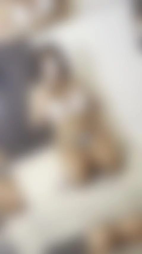 👇🏼CLICK HERE to chat to me :) by doubleddelilah