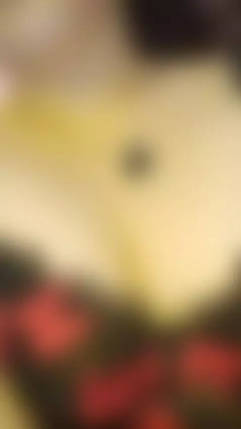 my home is alone by diane26