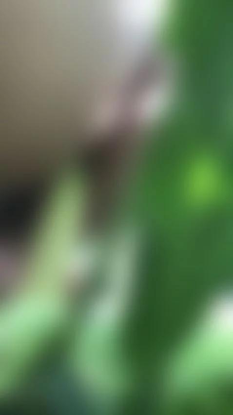 Mais sex by fak-pussy