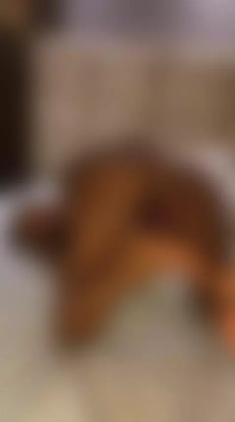 On all fours, my ass in the air while I touch myself 😈🍓 by kimamodel