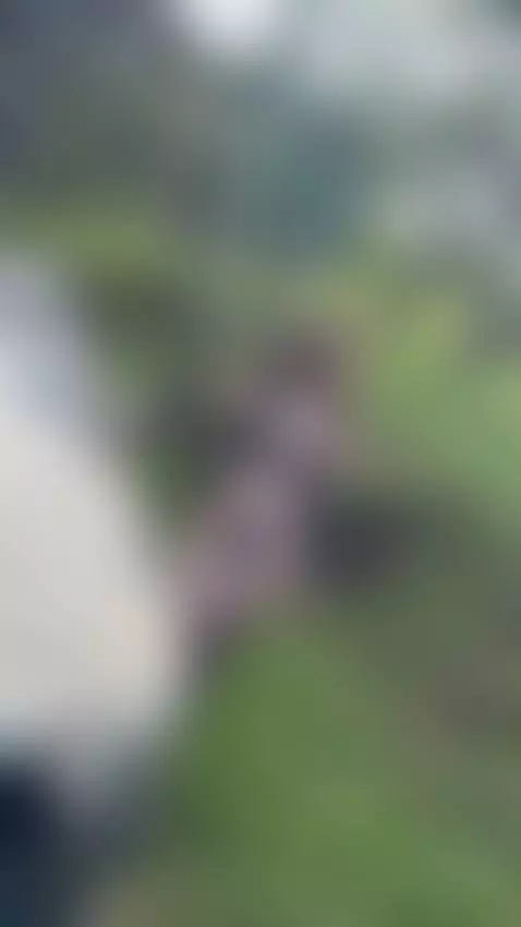 Say hello🫡 by daniortizx