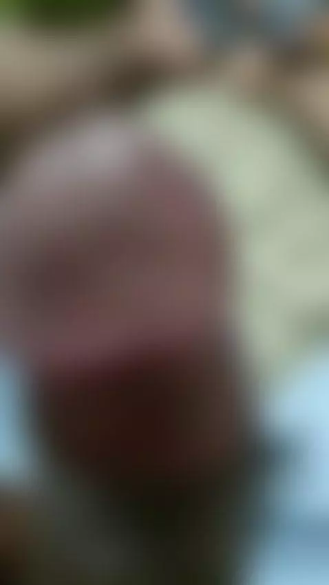 quieres mi leche ? by osito-b