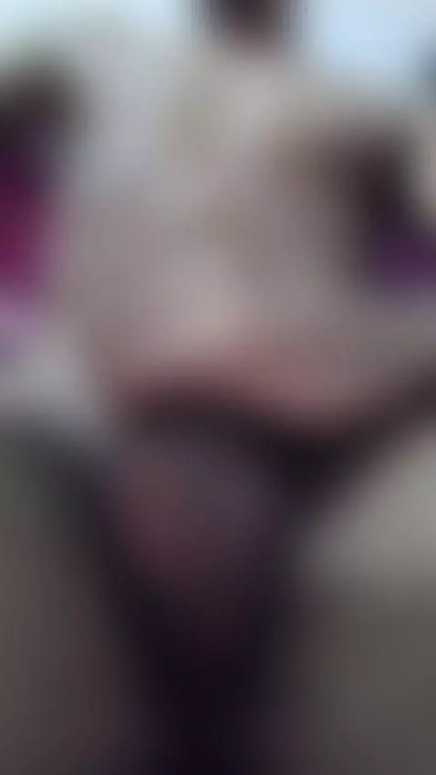 quem gosta de balançar? by noboryuser