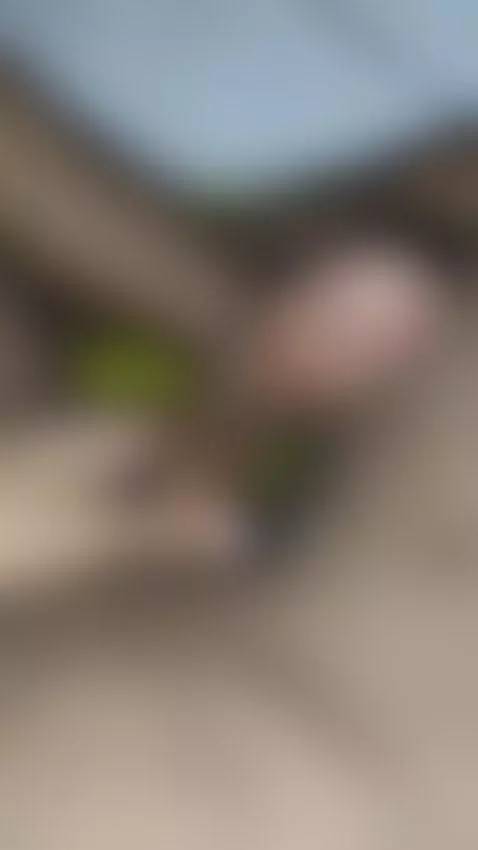 pau oleoso, perfeito pra penetrar e saboroso pra provar by noboryuser