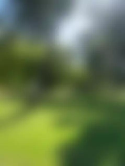 walking my dog ​​before the show.. are you ready? by isis-lovee