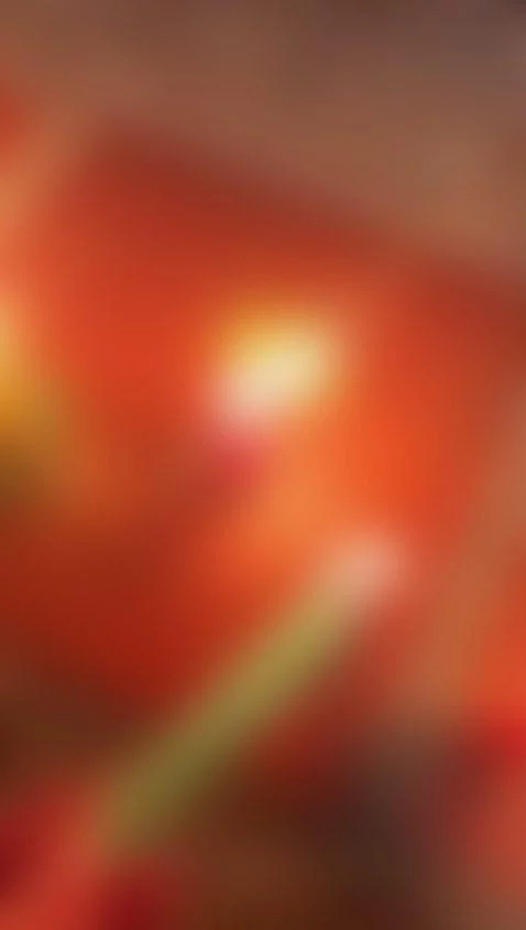 Today I wanted to share my culture and tradition with my lov... by emmilyjoness