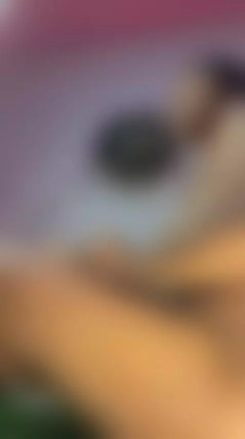 mmm fuckme bby by leilaevansx