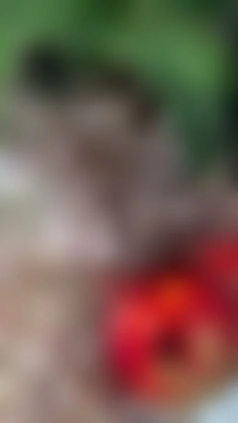 let's enjoy christmas together by elic28