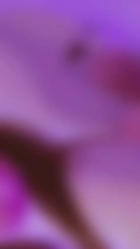 My ass is calling you… come closer. 🍑🔥 by adhara-wlliams