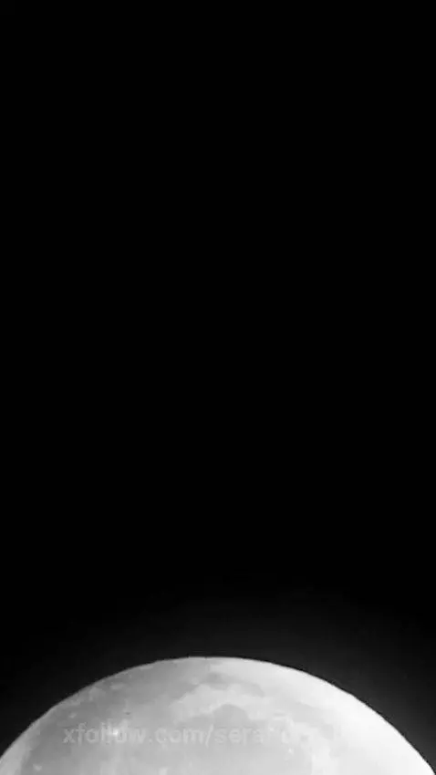 Try being my camera assistant for a day. #photoshoot #hedoni... by serafinamuse