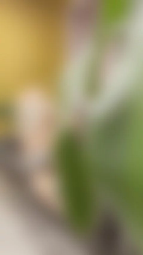 hat they spy on me and desire me by delettraa