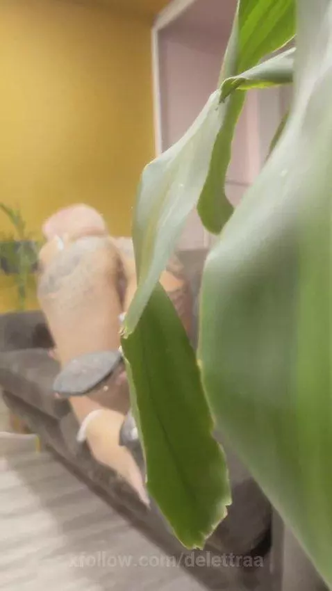 hat they spy on me and desire me by delettraa