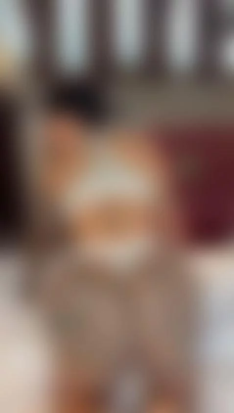 en mi premium podran verlo completo y rico by delettraa