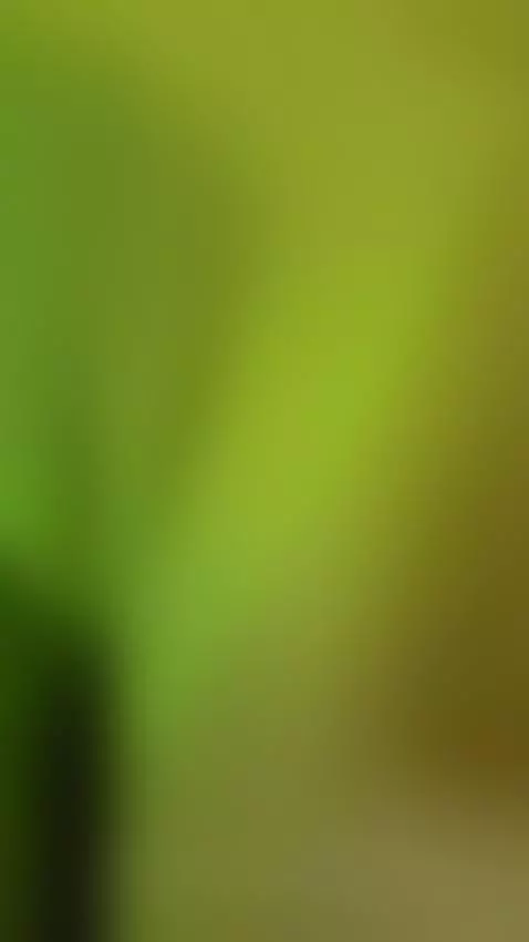 The grinch is comming!! https://www.camsoda.com/?id=sam-ceko... by sam-cekot