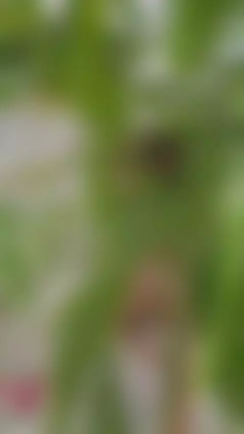 a nymph ✨️ by sam-cekot