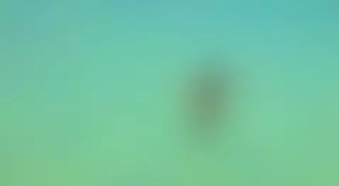 Salty freedom, nipples in the wind... and a desire for more ... by annyluna