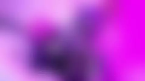 do it like this all night long by laytonlange