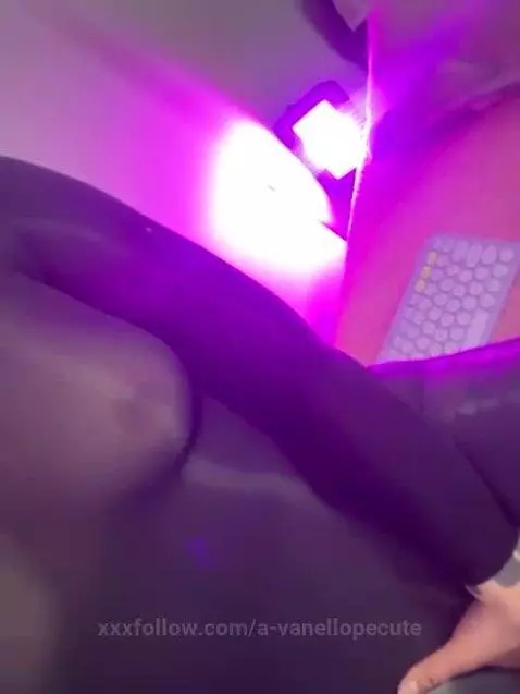 My beautiful stockings hide a sexy body by a-vanellopecute