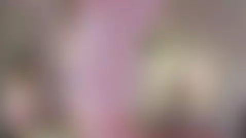 whitegirl, chubby, thickthighs by elliejay1