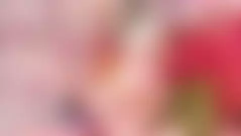 Your hot girl full of orgasms wants the destroy  😈🔥 by alicebenet