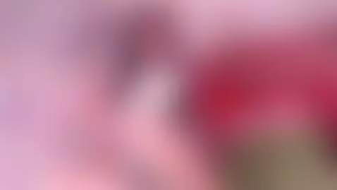 this fiery devil wants your sweet milk 🌺 by alicebenet