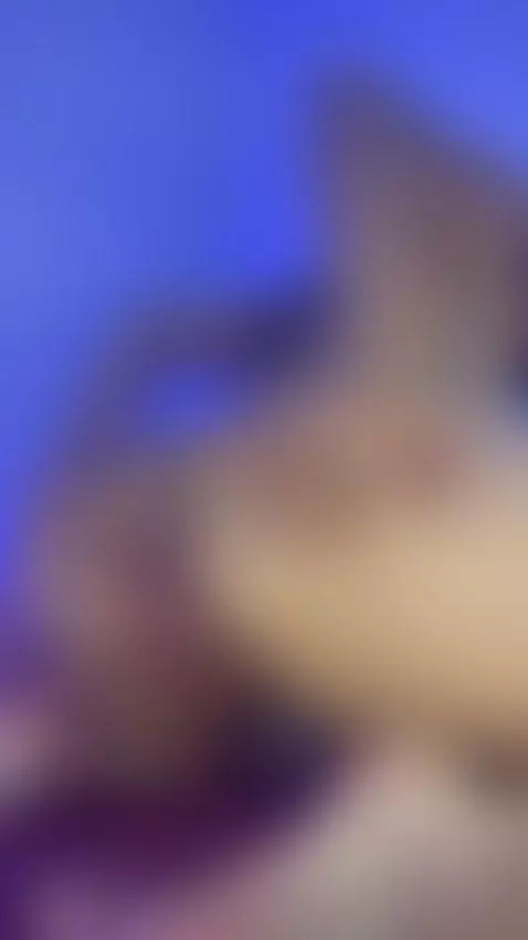 My tight hole teasing you 😈🍑 by valeryyrose