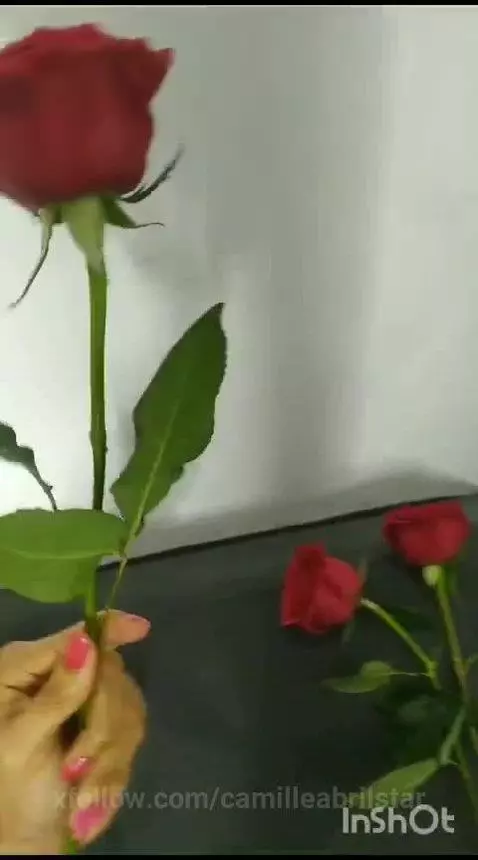 hello come have fun with me      https://www.camsoda.com/cam... by camilleabrilstar