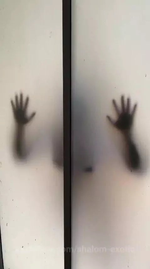 Close your eyes ... and feel me close by shalom-exotic