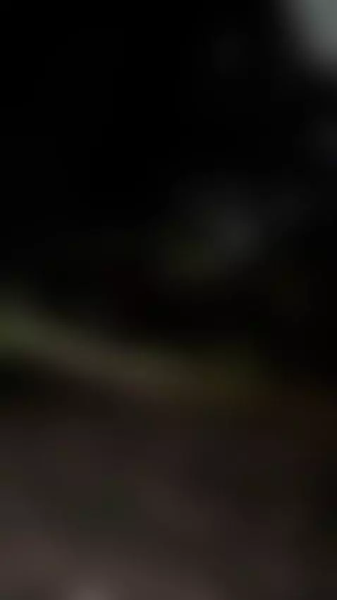 Video by anndromeeda