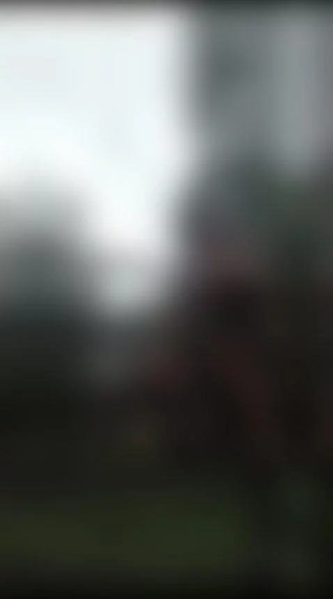 for a walk in the park by marianaxculona