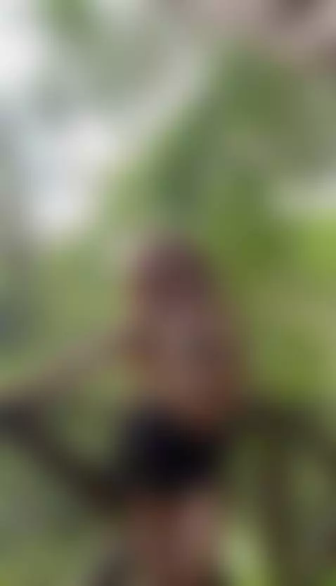 nature 🍃🍃🍃 by pattymm