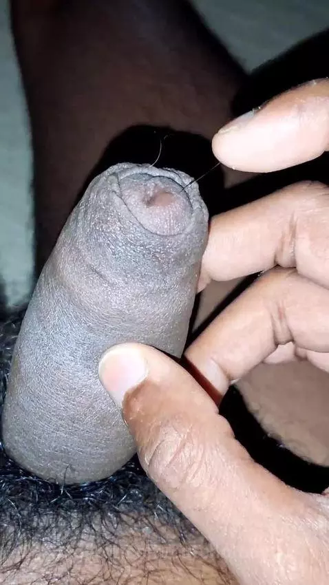 biggest dick in the world 16inchs by cutehotboy01