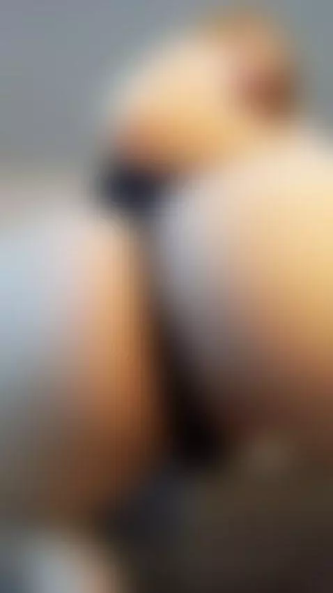 come spank me and leave my ass red...🍑😋 by emmaa-blonde