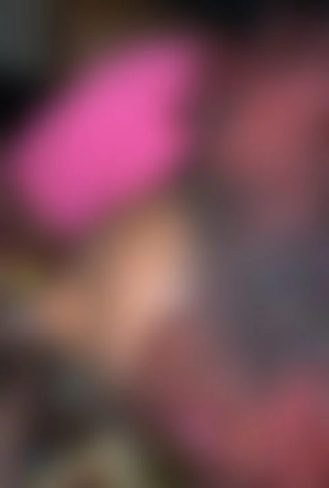 Ate the dick by bostnbaws