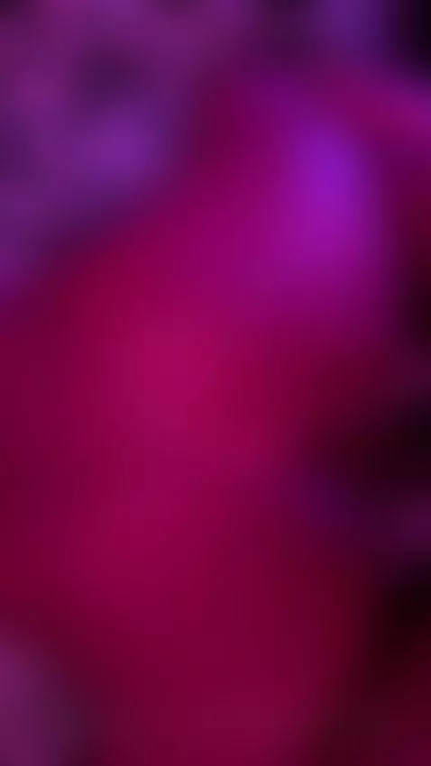 daily doggy by blaquesundae