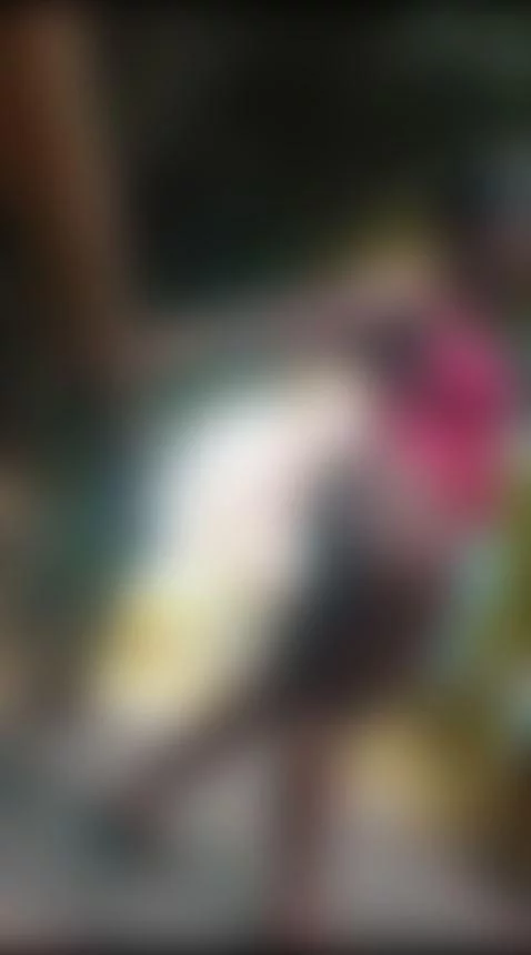 YOU LIKE MY TAIL by sofyx94