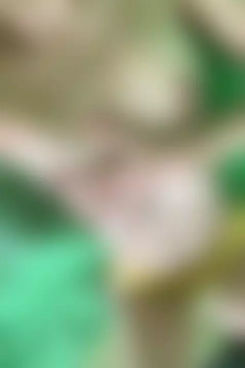 Which of my holes is your favorite?😋💦 by sophiarivers