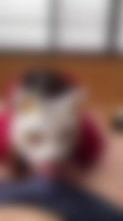 She uses her long tongue well to spoil you. by adulterouscouple