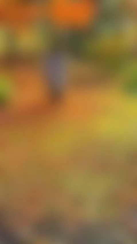 How do you like autumn in Japan? 🍁 by adulterouscouple