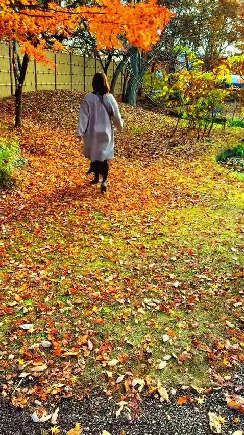 How do you like autumn in Japan? 🍁 by adulterouscouple